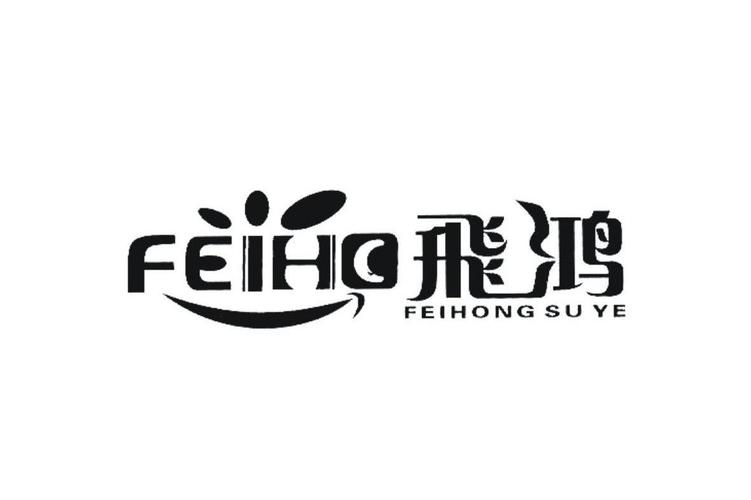 广州飞鸿网络技术 以专业网络技术服务助力企业数字化转型